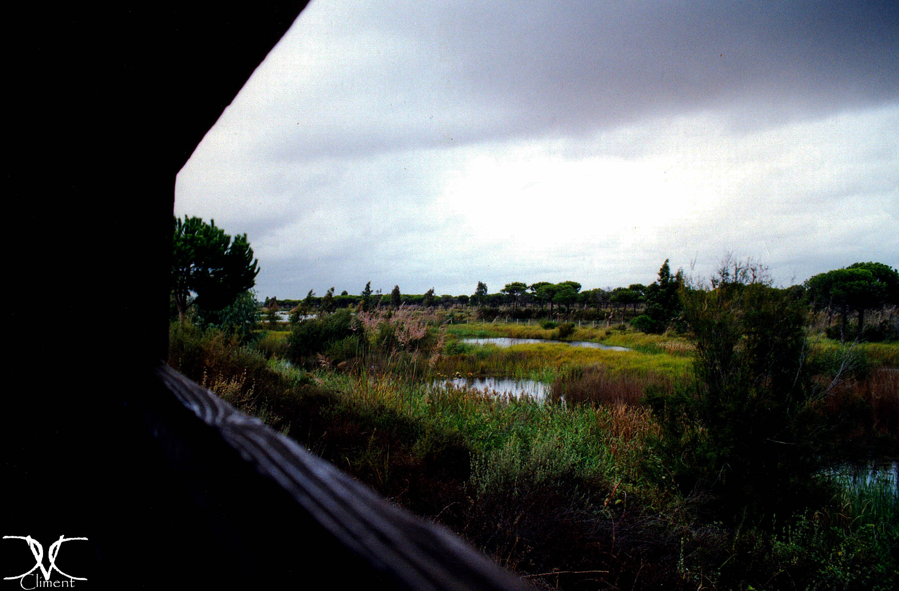 Galería